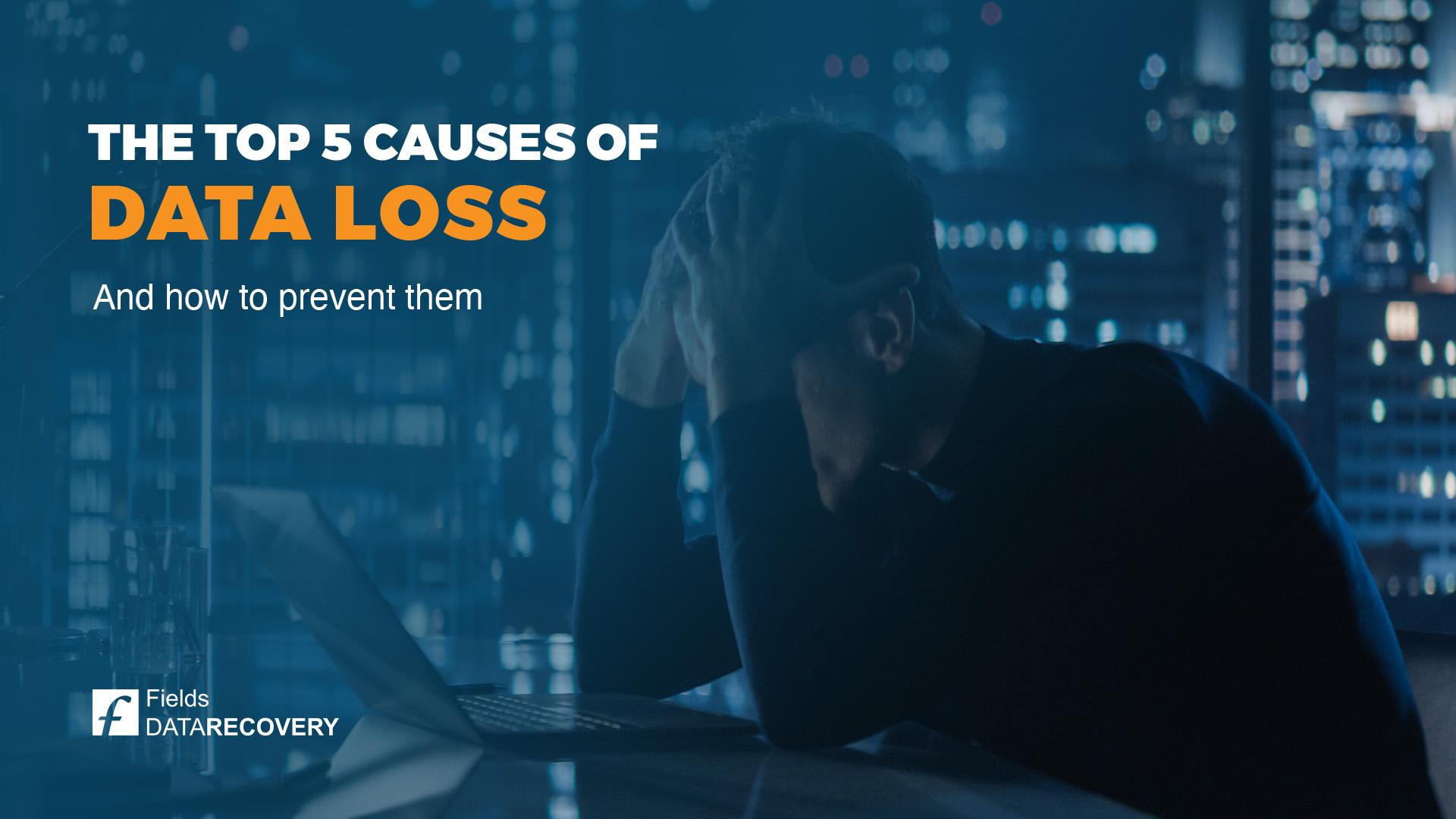 The Top 5 Causes of Data Loss and How to Prevent Them The Top 5 Causes of Data Loss and How to Prevent Them